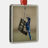 Swingle Blue Jay Metalen Ornament (Rechts)