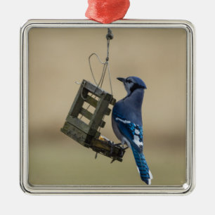 Swingle Blue Jay Metalen Ornament