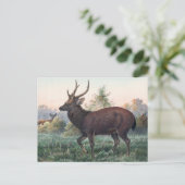 Swinhoe's Deer van Joseph Wolf Briefkaart (Staand voorkant)