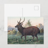 Swinhoe's Deer van Joseph Wolf Briefkaart (Voorkant / Achterkant)