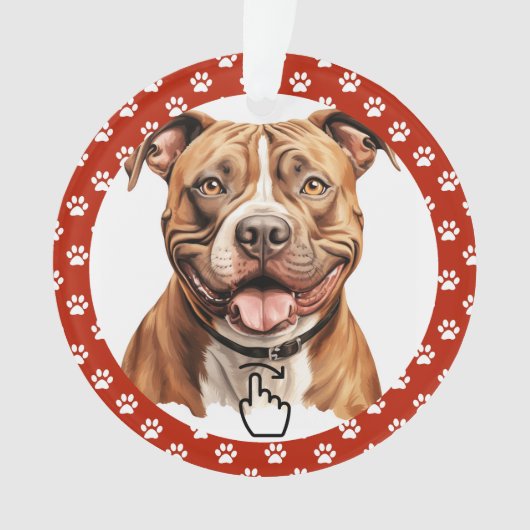 SWIPE RECHTS Versie 2 - Zie Terug ... Keramische o Ornament (voorkant)