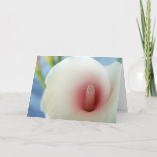 Swirl White Calla Lily Art Wenskaarten Kaart