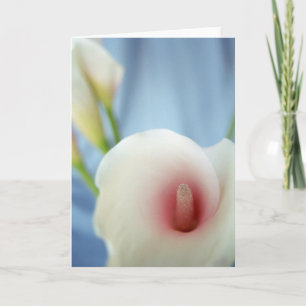 Swirl White Calla Lily Wenskaarten Kaart
