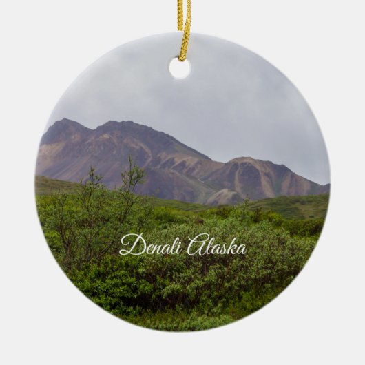 Swirled Beauty In Denali Ornament Souvenir (Voorkant)