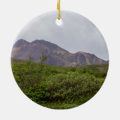 Swirled Beauty In Denali Ornament Souvenir (Achterkant)