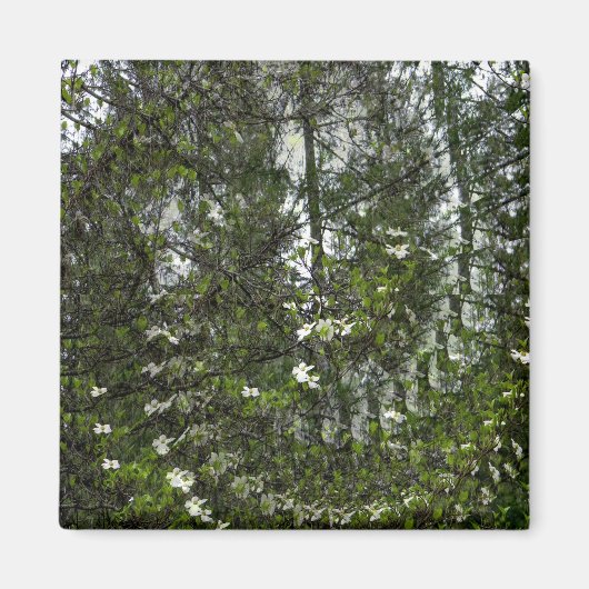 Swirling Dogwoods... Magneet (Voorkant)