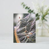 Swirling Milkweed Poof Carnival Ridew Nature Briefkaart (Staand voorkant)
