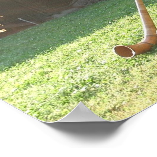 Swiss Alpine Horns Poster (Hoek)