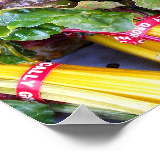 Swiss Chard Poster (Hoek)