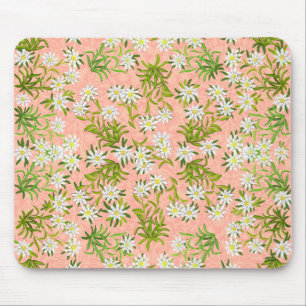 Swiss Edelweiss Alpine Flowers Mousepad Muismat