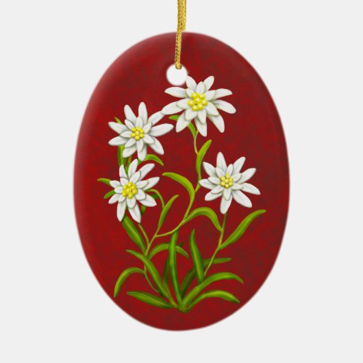 Swiss Edelweiss Alpine Flowers Ornament (Voorkant)