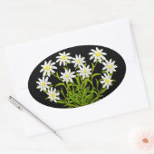 Swiss Edelweiss Flowers Bouquet Sticker (Envelop)