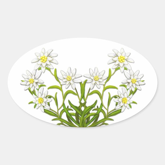 Swiss Edelweiss Flowers Sticker (Voorkant)