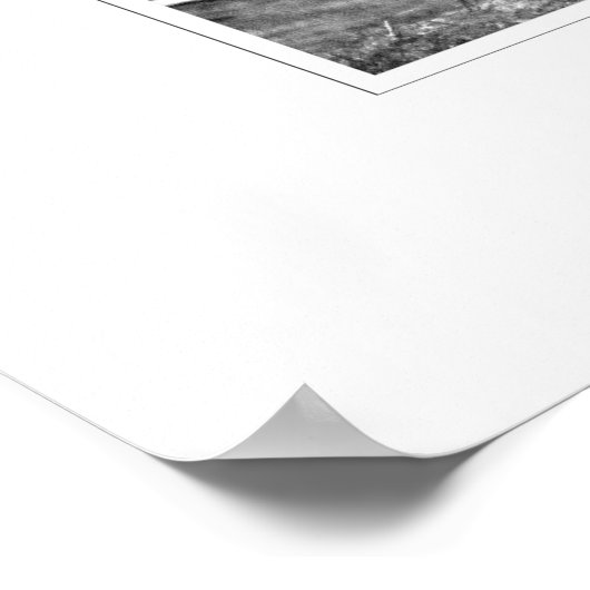 Swiss Kiss Print (Hoek)