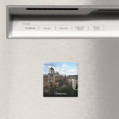 Swiss Magneet (Insitu (Vaatwasser))