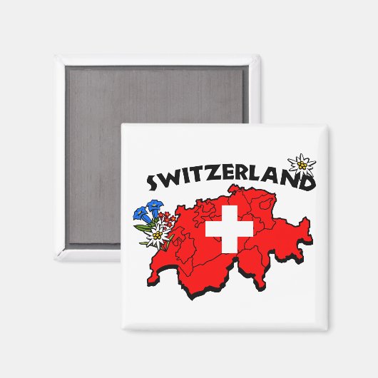 Switch Map Magnet (Voorkant / Achterkant)