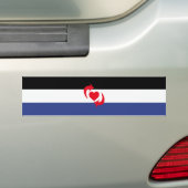 Switch Pride Bumpersticker (Op auto)