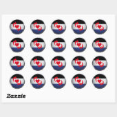 SWITCH PRIDE MEDALLION RONDE STICKER (Vel)