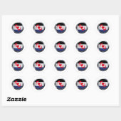 SWITCH PRIDE MEDALLION RONDE STICKER (Vel)