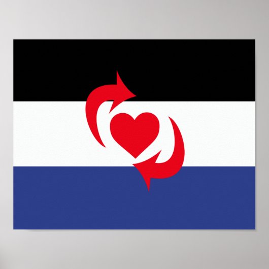 Switch Pride Vlag Poster (Voorkant)