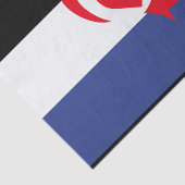 Switch Pride Vlag Tissuepapier (Detail)