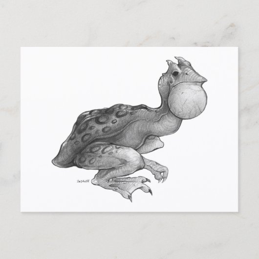 Swog - Briefkaart (Voorkant)