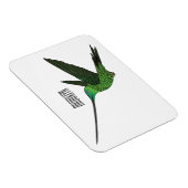 Sword-bulgvogel cartoon illustratie magneet (Rechterzijde)