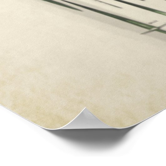 Sword Typology Poster (Hoek)