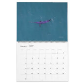 Swordfish Only Calendar 2026 Kalender (Jan 2027)