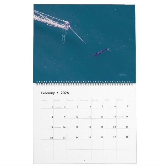 Swordfish Only Calendar 2026 Kalender (Feb 2026)