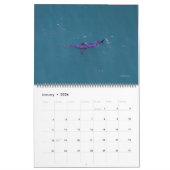 Swordfish Only Calendar 2026 Kalender (Jan 2026)