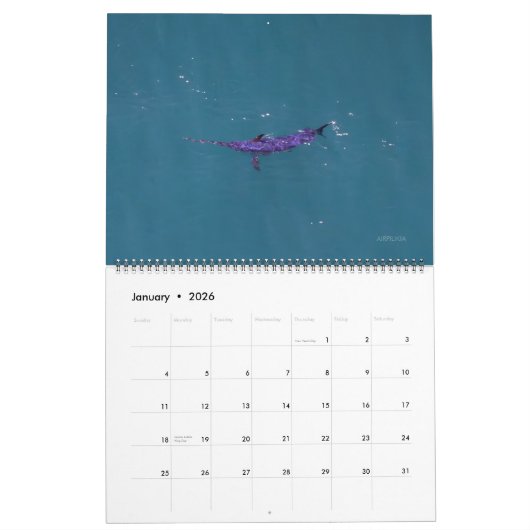 Swordfish Only Calendar 2026 Kalender (Jan 2026)