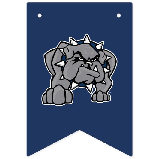 SWOSU Afstuderen Vlaggetjes (Eerste vlag)