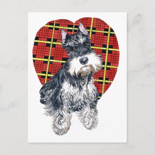 Sybil het Briefkaart Schnauzer (Voorkant)