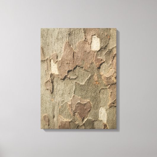 Sycamore Bark Stretched Canvas Art (Voorkant)