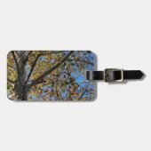 Sycamore-boom in de herfst tegen een blauwe hemel bagagelabel (Voorkant horizontaal)