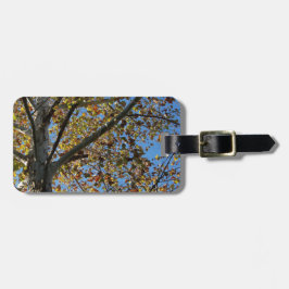 Sycamore-boom in de herfst tegen een blauwe hemel bagagelabel