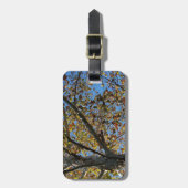 Sycamore-boom in de herfst tegen een blauwe hemel bagagelabel (Voorkant verticaal)