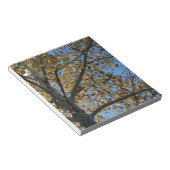 Sycamore-boom in de herfst tegen een blauwe hemel notitieblok (Schuin)