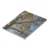 Sycamore-boom in de herfst tegen een blauwe hemel notitieblok (Linkerzijde)