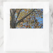 Sycamore-boom in de herfst tegen een blauwe hemel rechthoekige sticker (Tas)