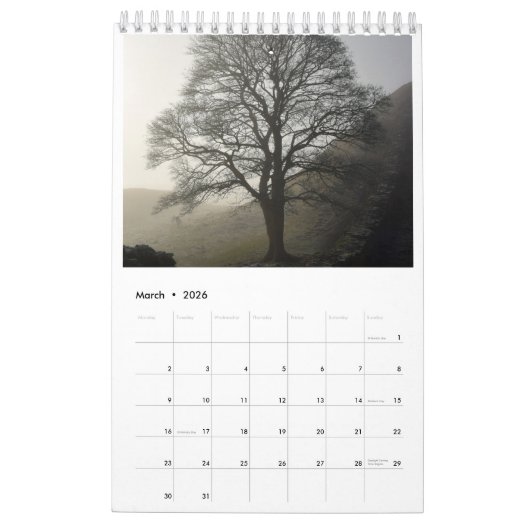 Sycamore Gap 2024 Kalender (Mar 2026)