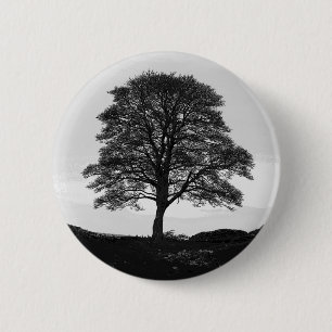 Sycamore Gap Button Badge