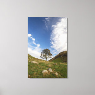 Sycamore Gap Canvasprint op gespannen doek Canvas Afdruk