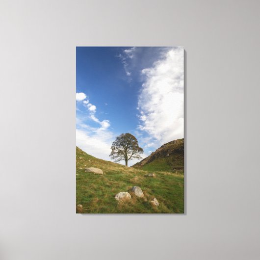 Sycamore Gap Canvasprint op gespannen doek Canvas Afdruk (Voorkant)