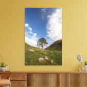 Sycamore Gap Canvasprint op gespannen doek Canvas Afdruk (Insitu (Woonkamer))