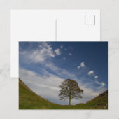 Sycamore Gap in de herfst Briefkaart (Voorkant / Achterkant)
