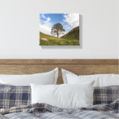 Sycamore Gap in het najaar Canvas Afdruk (Insitu (Slaapkamer))