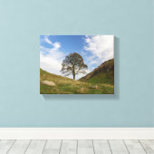 Sycamore Gap in het najaar Canvas Afdruk (Insitu (Houten vloer))