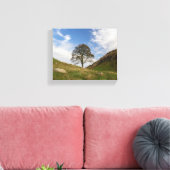 Sycamore Gap in het najaar Canvas Afdruk (Insitu (Woonkamer))